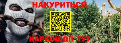 трава Краснодар
