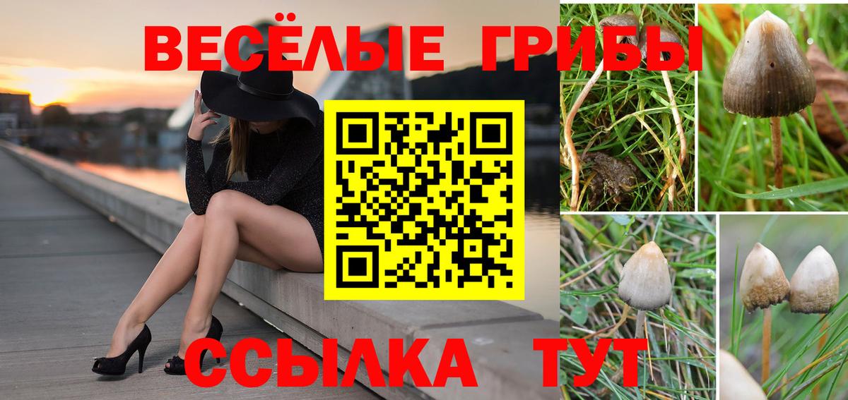 Галлюциногенные грибы MAGIC MUSHROOMS Вичуга
