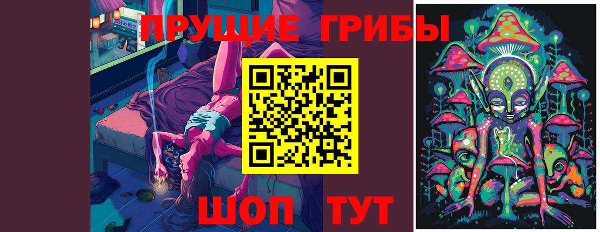Галлюциногенные грибы MAGIC MUSHROOMS  Вход с VPN  Вичуга 